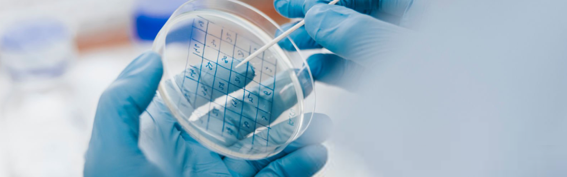 Research Enterprise